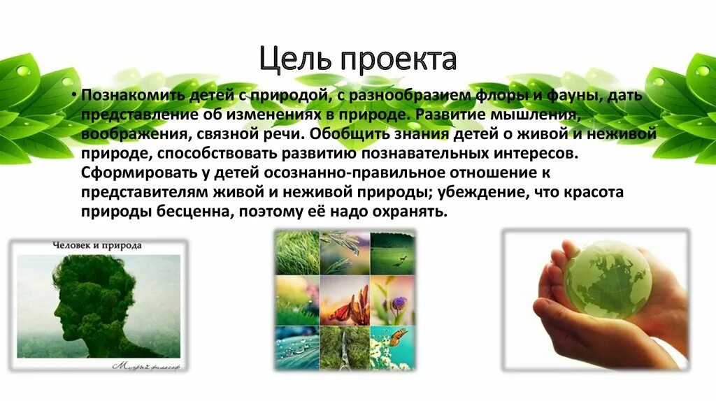 Проект Живая и неживая природа. Проект на тему Живая и неживая природа. Проект Живая природа. Цель проекта Живая и неживая природа. Переход питательных элементов от неживой природы