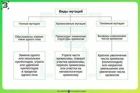 Классификация мутаций по изменению генетического материала
