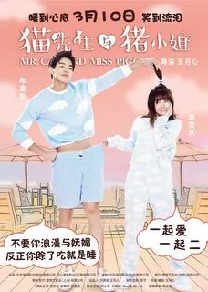 有 完 没 完. 猫 先 生 与 猪 小 姐. 