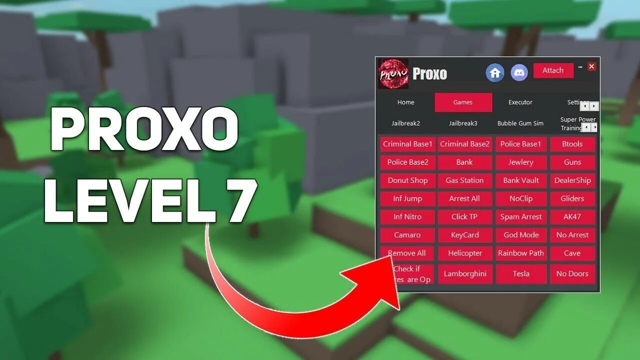 Script executor. Эксплоит для РОБЛОКС. Proxo. SS EXECUTOR Roblox.