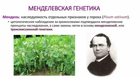 Имена генетиков