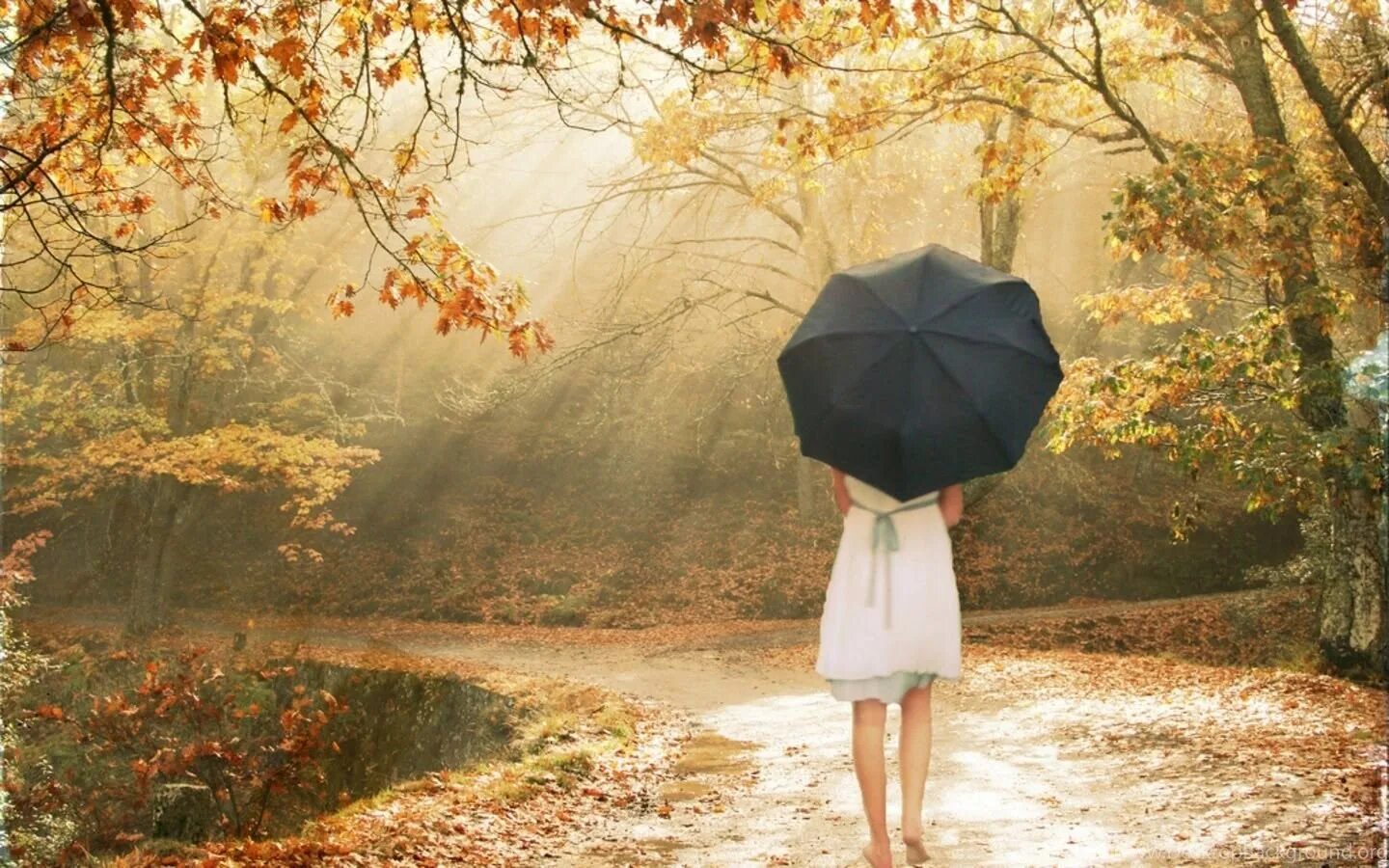 Воспоминания о хорошем прошлом