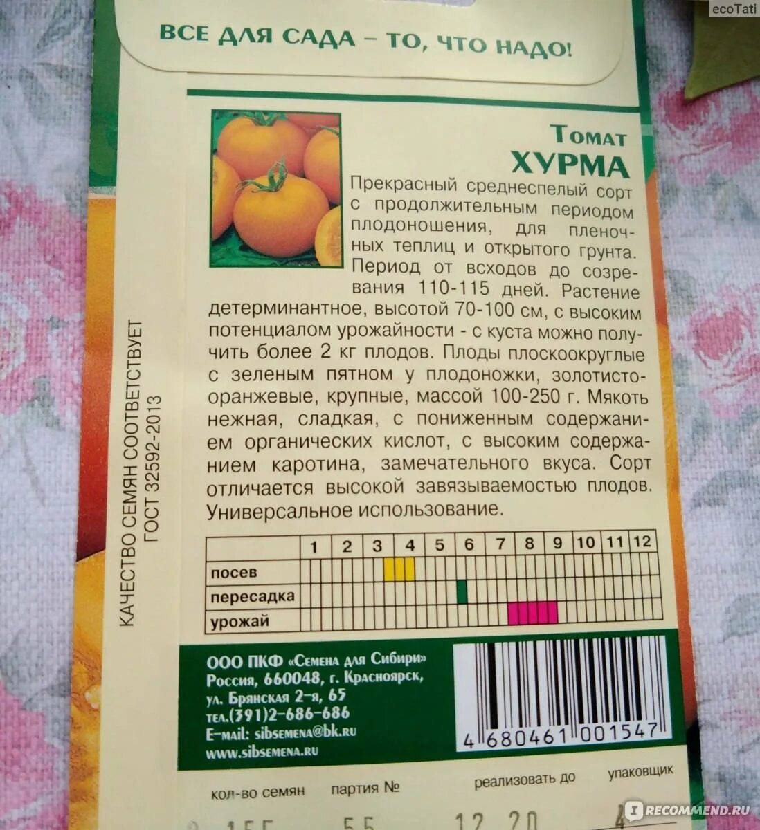 Семена томат хурма. Помидоры сорт хурма описание сорта. Гавриш томат хурма. Помидоры хурма описание сорта. Помидоры сорт хурма отзывы фото