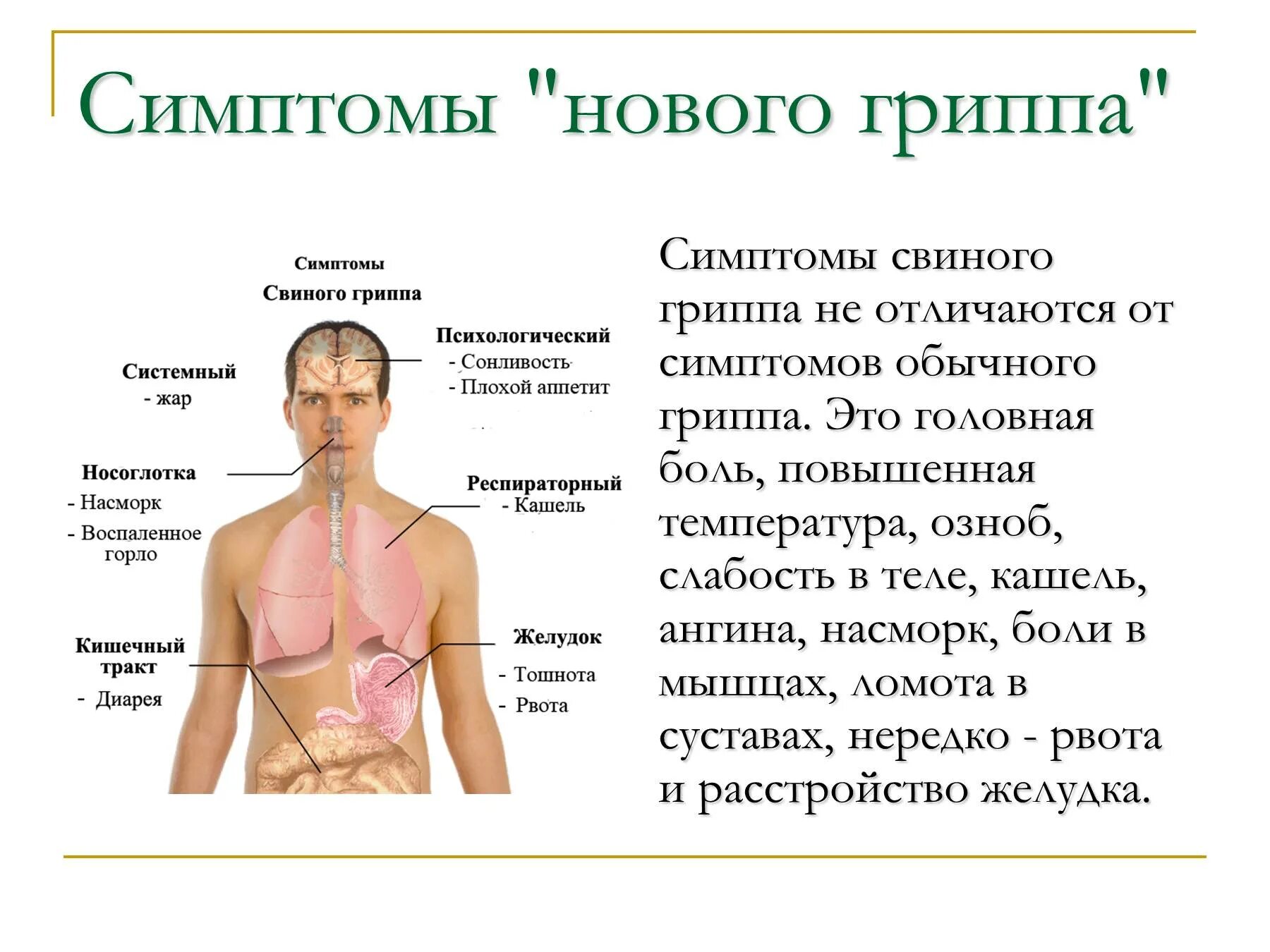 Симптомы. Симптомы нового гриппа.