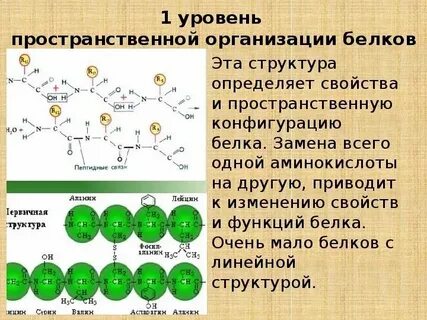 Пространственная конфигурация первичной структуры