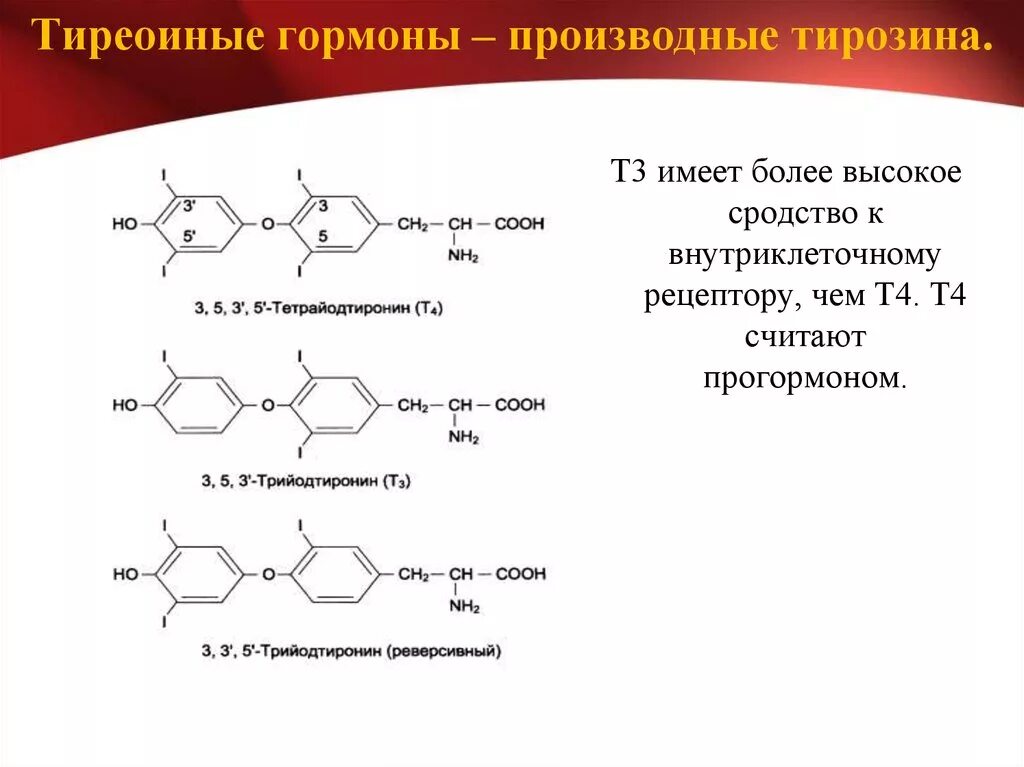 Гормон-производное тирозина. Тетраиод тиронин т4 гормоны. Гормоны производные аминокислоты тирозин это. Гормоны производные тирозина.