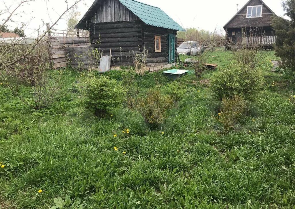 Деревня вишенки тульская область. Деревня вишенки тульская область. Деревня вишенки тульская область. Деревня новоселки тульская область. Чубаровка пензенская область.