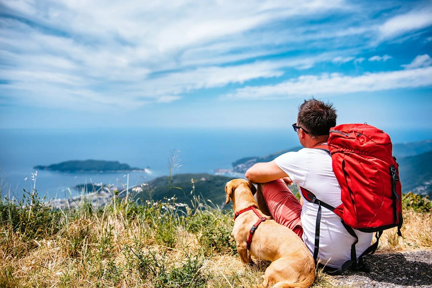 When do people travel. Путешествие с собакой. Человек путешествует с собакой. Человек с собакой на природе. Люди в путешествии.