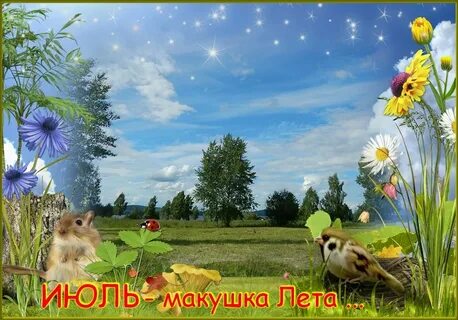 Макушка лета 2024