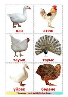 Секс-машинасы оргазм порно сағат