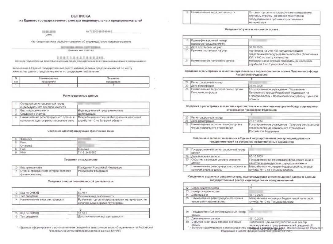 Заказать выписку егрип на сайте. Выписка из единого государственного реестра ИП (ЕГРИП). Пример выписки из ЕГРИП для ИП. Выписка из единого государственного реестра ИП образец. Выписка из ЕГРИП образец.