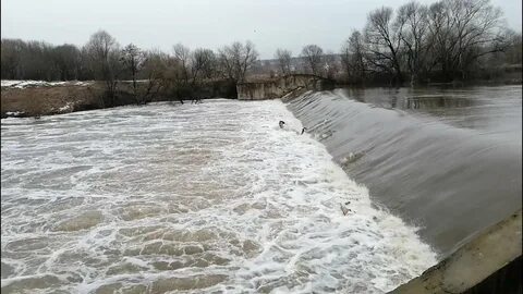 Уровень оки серпухов
