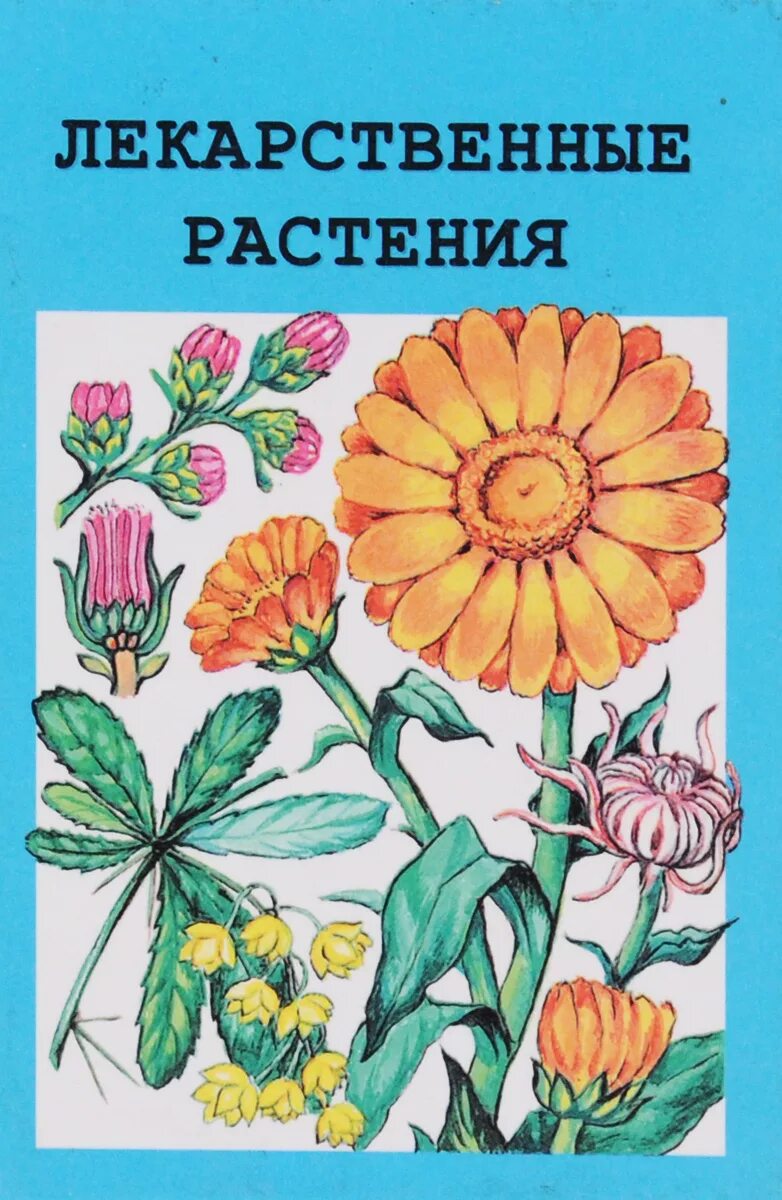 атлас определитель водокрас. лекарственные растения. энциклопедия природы россии пищевые растения. волшебные растения и их названия. головнин.