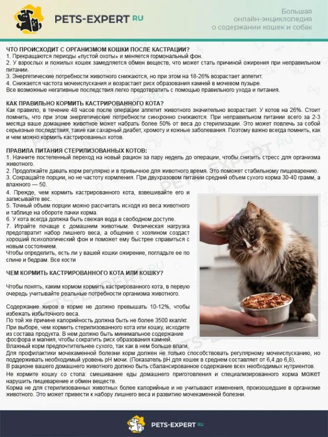 Можно ли корма для стерилизованных