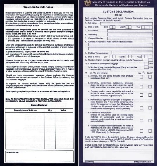 Import declaration. Customs Declaration. Таможенная декларация Индонезия. Customs Declaration Japan. Import Declaration form.