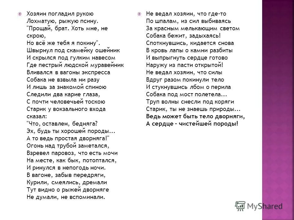 Стих о рыжей дворняге текст. Асадов стихи о рыжей дворняге. Стихи о дворняге Эдуарда Асадова. Стих Эдуарда Асадова про собаку.