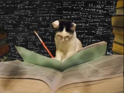 Учеба смешные картинки