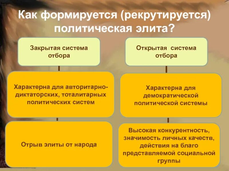 Субъектов политики относящихся к политической элите. Политическая элита. Как рекрутируется политическая политическая элита. Как формируется политическая элита. Закрытая система отбора политической элиты.