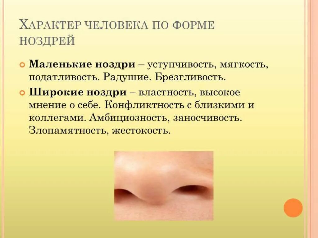 О чем говорит нос мужчины. Характер человека. Формы носа. Характер человека по форме носа. Типы носа человека.