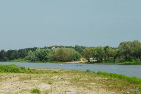 Погода в солотче рязанской