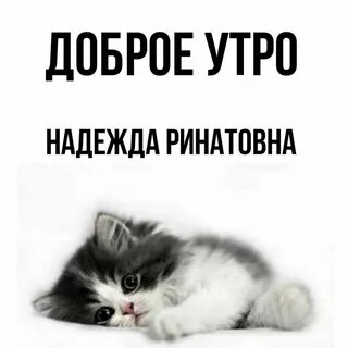Утро надеяться