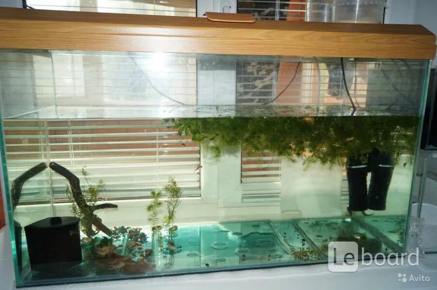 Волгоградский аквариум. Рыбки для аквариума. Зоомагазин аквариум. Аквариум аквас 30 литров. Аквариум травник.