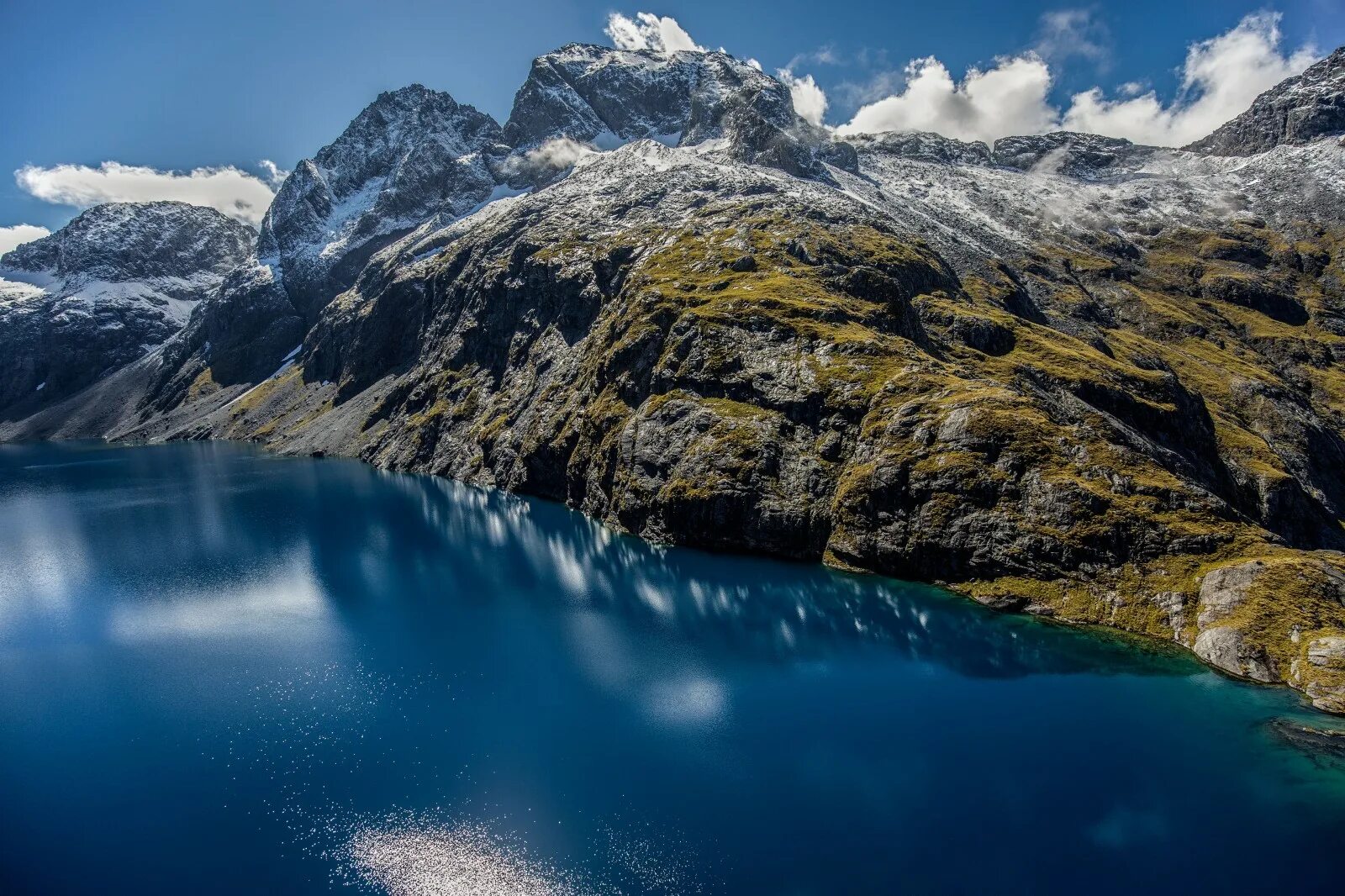 Mark in new zealand