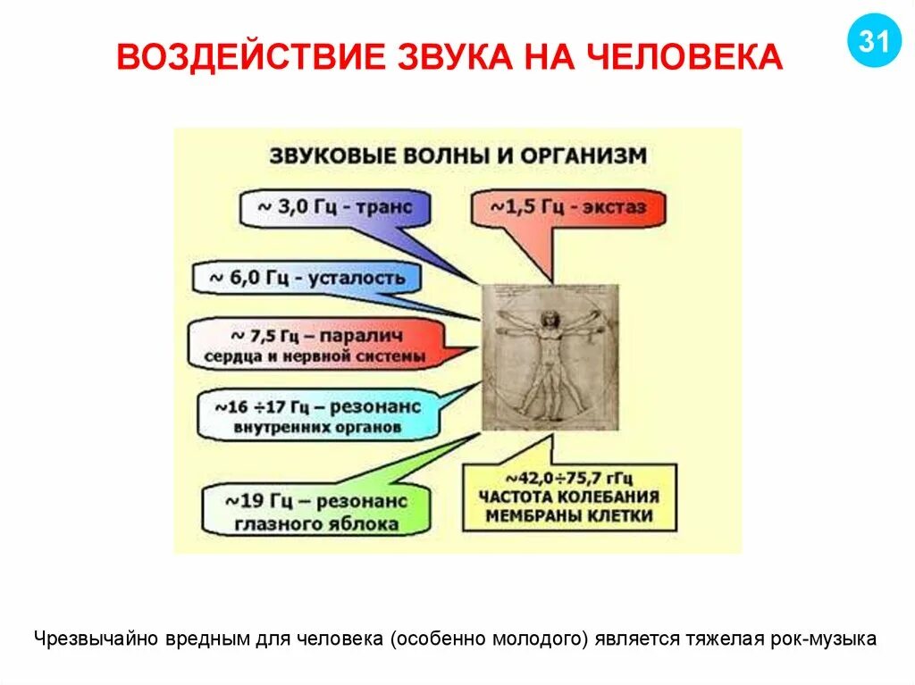 Влияние звука на человека. Влияние частоты звука на человека. Воздействие звука на организм человека. Звуки вредные для организма человека. То что слышит человек физика