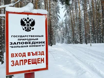 На территории 1 из заповедников