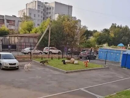 Брянском переулке