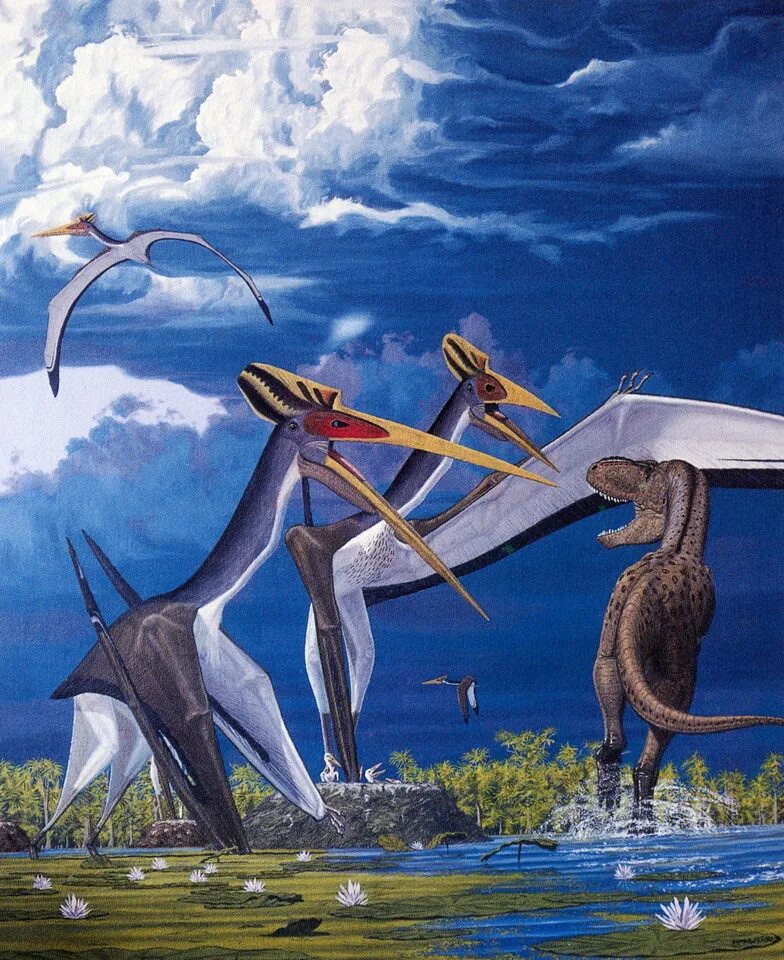 Кетцалькоатль Птерозавр. Птеранодон и Кетцалькоатль. Кетцалькоатль Нортропа. Кетцалькоатль птеродактиль. Птерадон