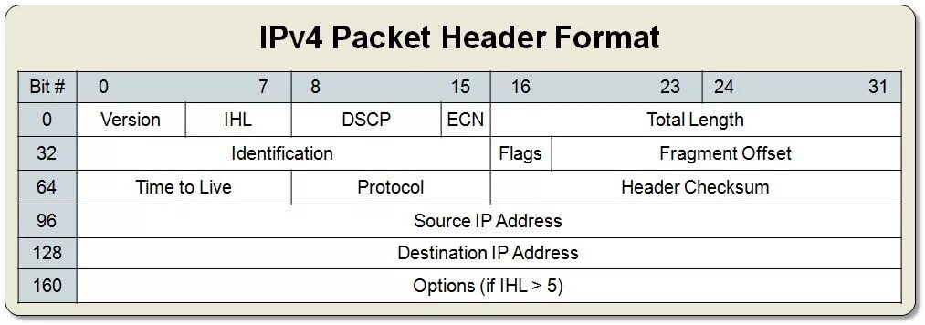 Ipv4 packet. Формат пакета ipv4. Структура IP пакета ipv4. Структура заголовка ipv4. Размер пакета ipv4.
