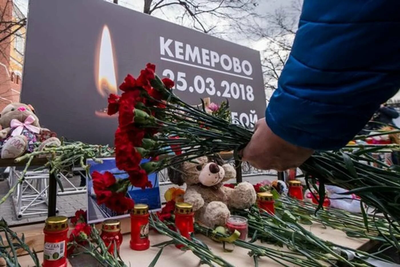 Дата зимней вишни