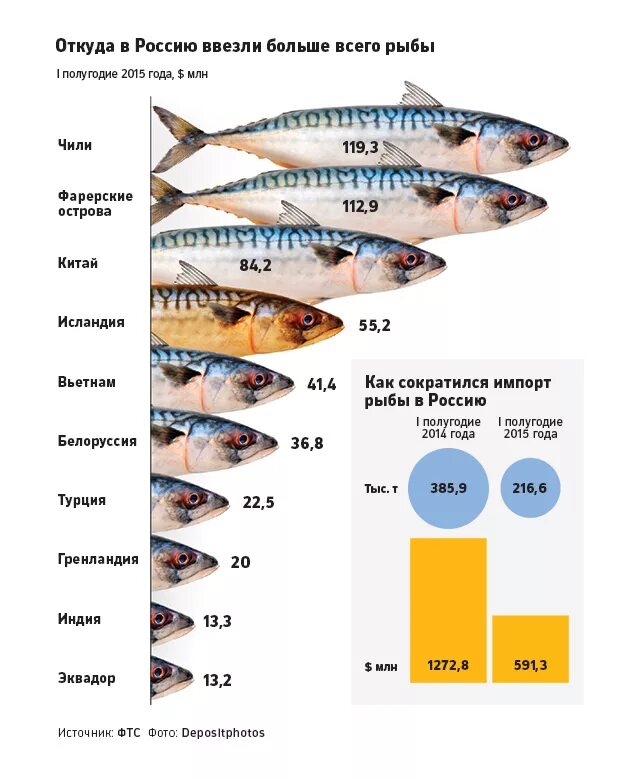 Вылов сельди по странам. Рыбы по возрастанию. Крупнейшие производители рыбы в России. Таблица стоимости рыбы.