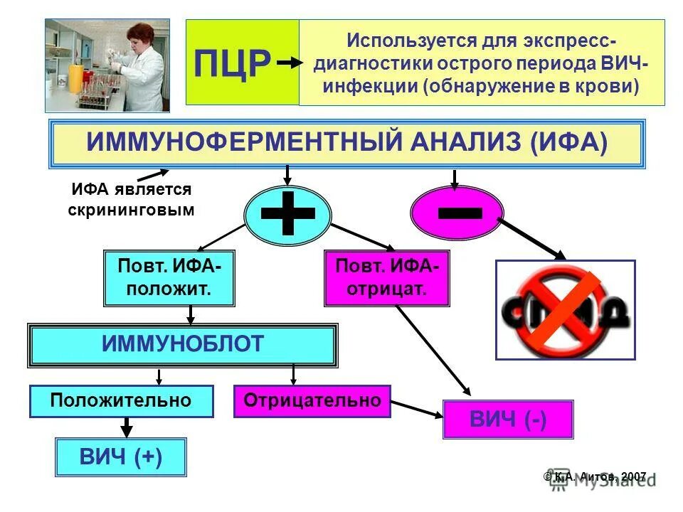 Для диагностики какого заболевания используется. Алгоритм диагностики вич-инфекции методом ифа. лабораторная диагностика вич инфекции схема. исследование крови ифа на спид. исследование крови в ифа на вич инфекцию.