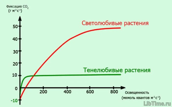 Повышают интенсивность фотосинтеза у растений