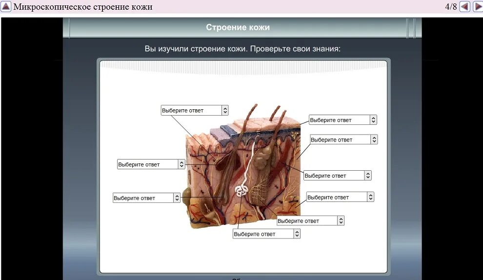 Выделения биология 8 класс контрольная. Выделения биология 8 класс контрольная