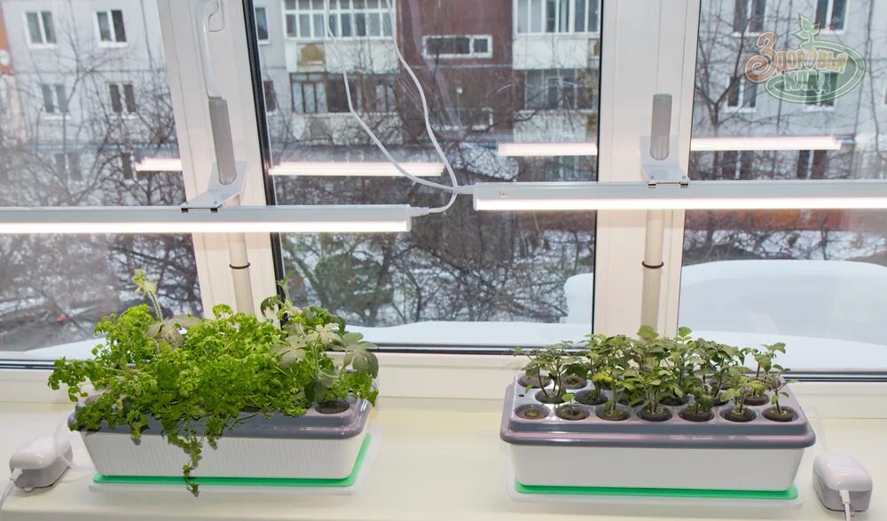 Как подвесить лампу для рассады. Подставка под лампу для рассады. Лампа для рассады солар 50 вт. Лампа для рассады фитосвет леруа. Фитолампа fito9wt5ra99.