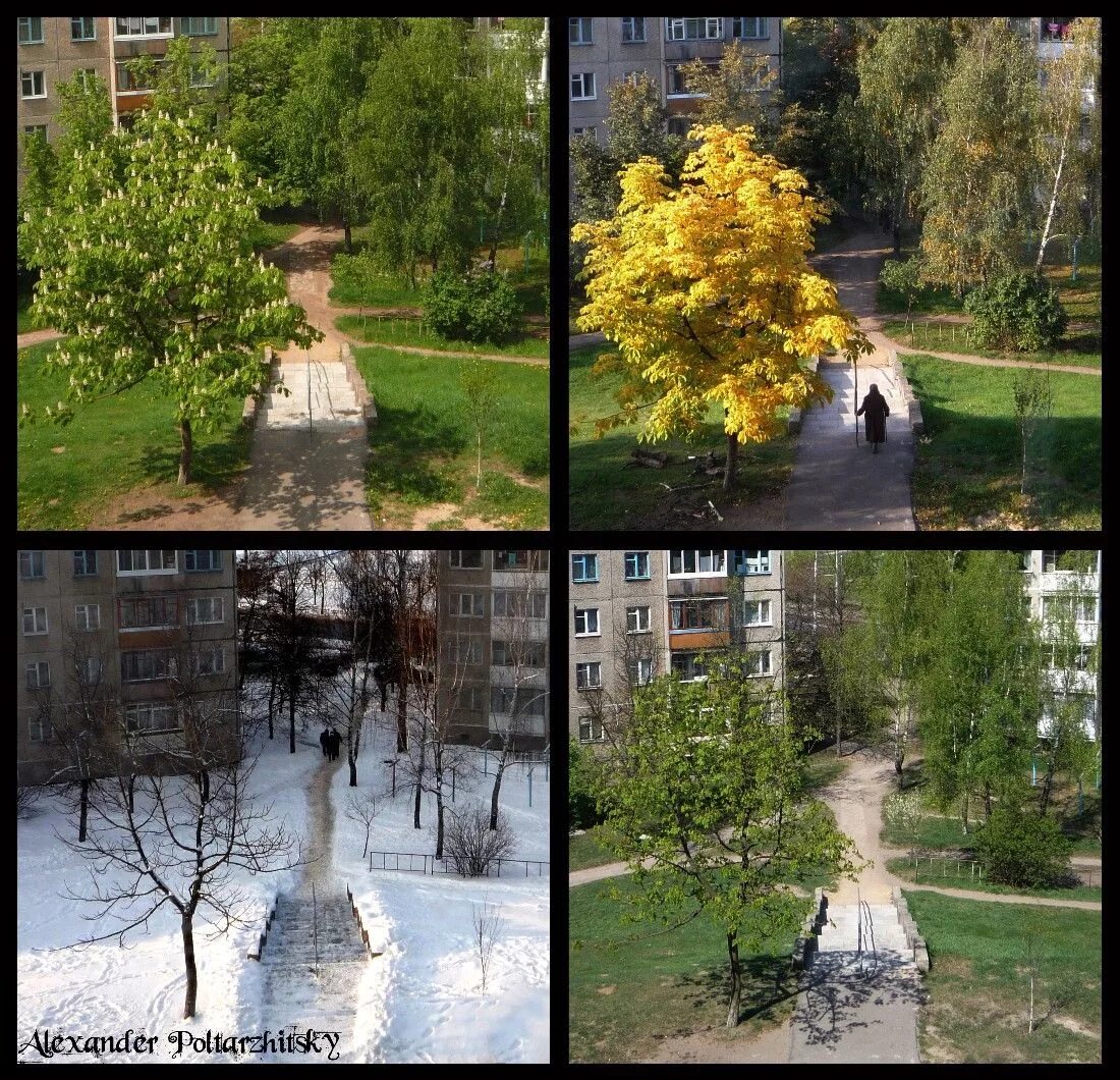 Прекрасный город и зима и лето. Лето осень. Лето осень зима.