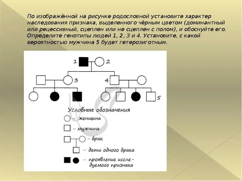 По изображенной на рисунке родословной определите. Характер наследования признаков. Определите Тип наследования признака по родословной. По изображенной на рисунке родословной. По изображенной по рисунку родословной.
