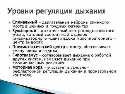 Организация дыхания