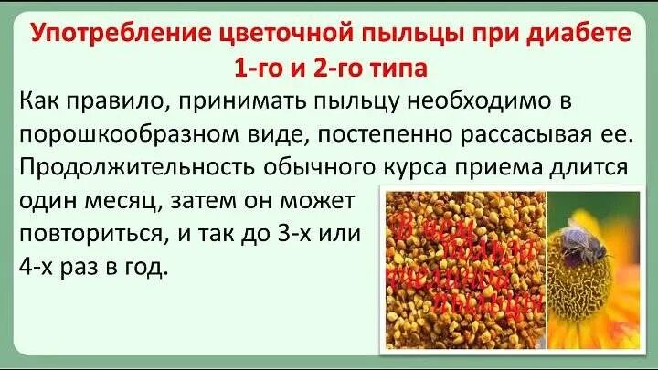 Пыльца пчелиная полезные как принимать. Цветочная пыльца и перга. пыльца пчелиная полезные. пыльца как употреблять. пыльца пчелиная полезные свойства.