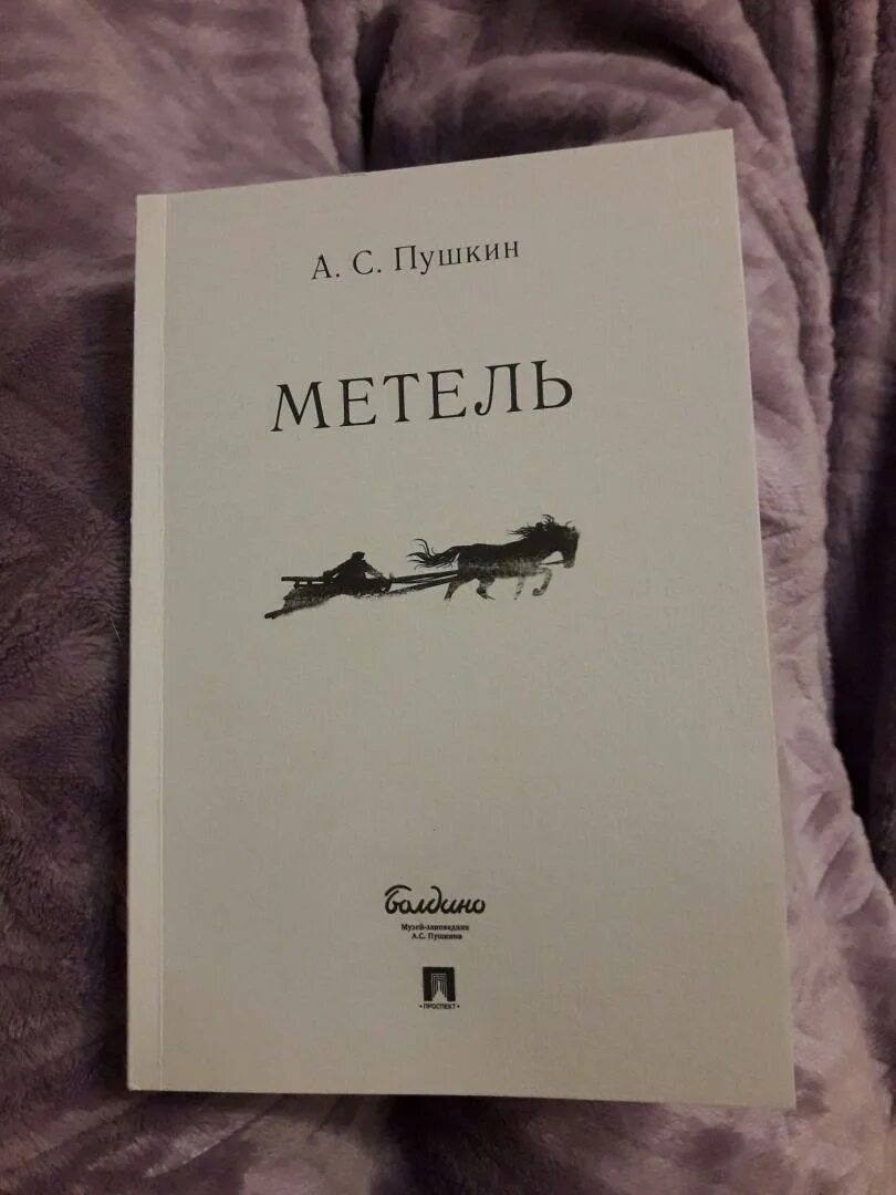 Общие впечатления о книге метель пушкина. Общие впечатления о книге метель пушкина