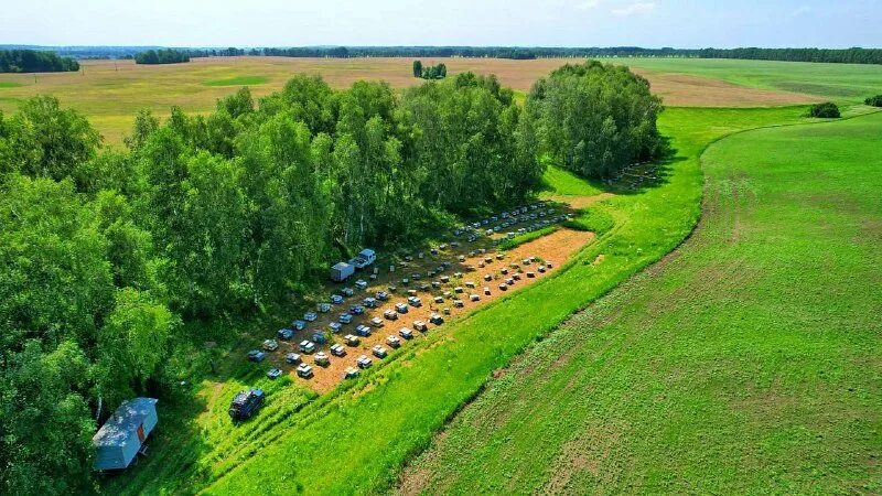 Кфх иванов косихинский район алтайский край. Алтайская республика хозяйство. Алтай сельское хозяйство. Алтайские кфх. Altaiapiary.