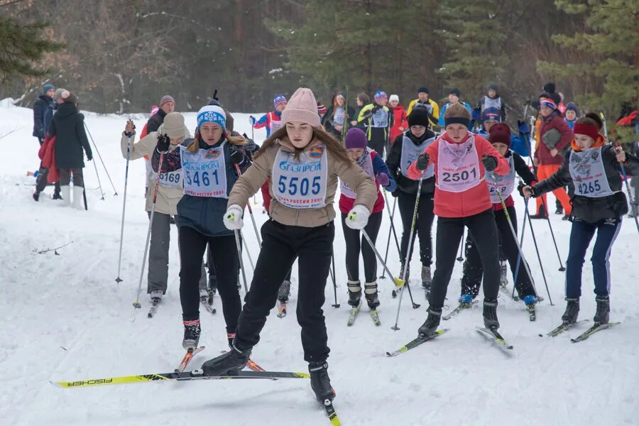 Соревнования по лыжам мчс. Всероссийская массовая лыжная гонка 2024. Лыжня россии 2023 химки. Лыжня россии 2022 саранск. Всероссийская массовая лыжная гонка 2024.