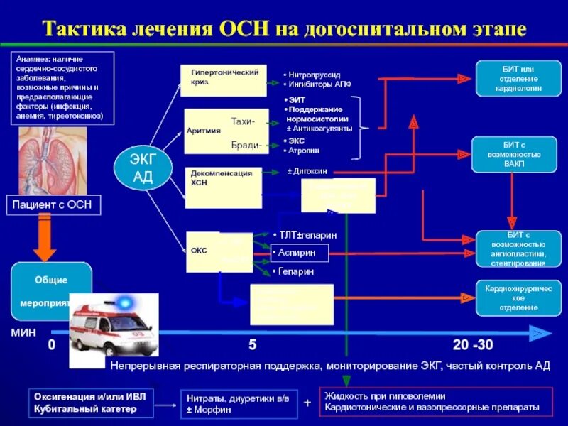 Алгоритм диагностики острой сердечной недостаточности. Тактика при острой сердечной недостаточности. Алгоритм лечения хронической сердечной недостаточности. Острая сердечная недостаточность: тактика лечения. Сильных болях в животе на догоспитальном этапе