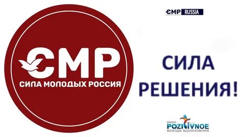 Сила молодежная организация