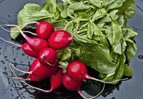 Вкусная редиска