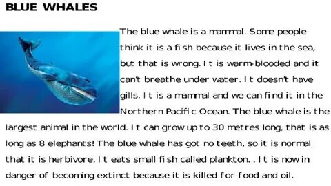 Animals need help