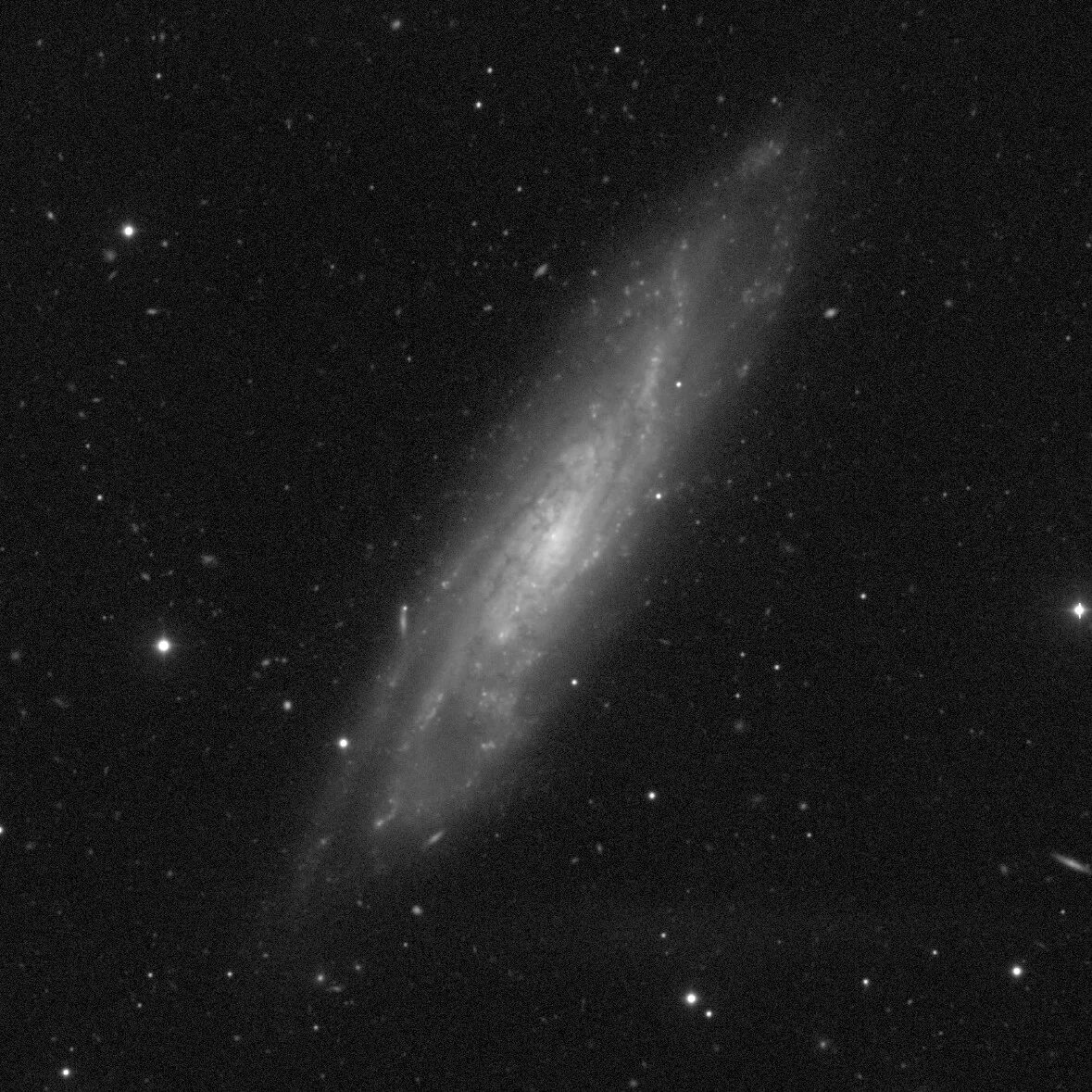 Ngc владикавказ доватора. Ngc 5529. ngc 315. ngc владикавказ. ngc 1337.